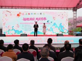 三明清流：樱花为媒 绽放融合发展新活力