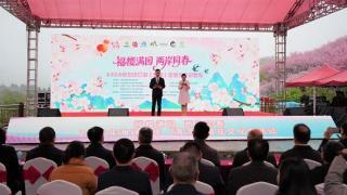 三明清流：樱花为媒 绽放融合发展新活力