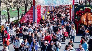 文旅园区、街区客流量达83.79万人次！焦作文旅喜迎“开门红”