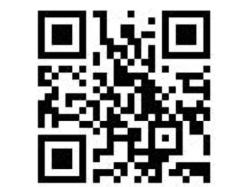 周末来了丨民俗+书香齐上阵，解锁元宵前的限定欢喜