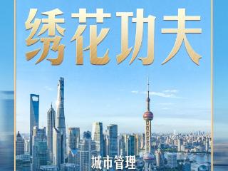 习近平的两会之喻｜城市管理应该像绣花一样精细