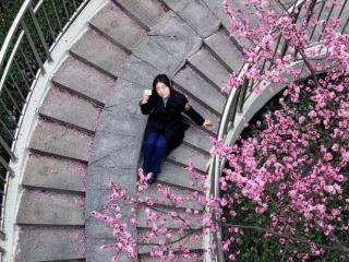 出站即邂逅浪漫！合肥这座“梅花天桥”火出圈