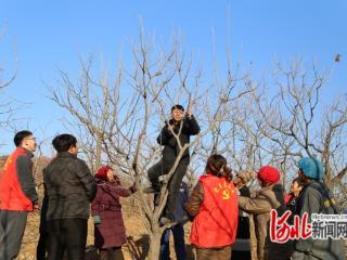 河北省迁安市：科技春剪到地头 果农增收有盼头