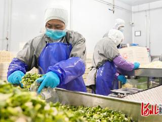 京津冀协同发展12年丨民生保障提质 美好生活升温