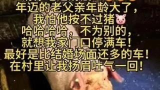 孙小荣:从“合川杀猪”看液态运营的四大策略