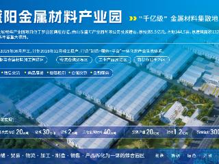 向前冲！临沂罗庄盛阳集团金属材料产业园项目踏春冲刺首季“开门红”