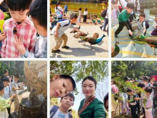 雨林探秘，傣韵同行 济南高新区凤凰路小学西校区三年级4班亲子实践之旅