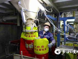 绥阳双胞胎饲料科技有限公司：产销两旺干劲足 争创首季“开门红”