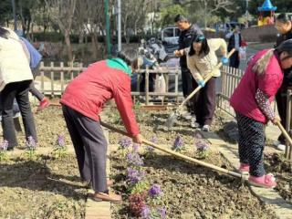滨江苑社区：花圃启航，共建绿意家园首秀