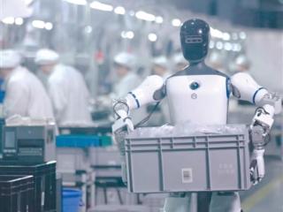 今年5月 全球机器人将在杭州“同台竞技”