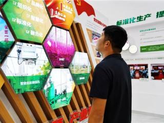 “文旅融合”奏响增收致富新乐章——山东潍坊寿光市烟草专卖局（营销部）助力零售户转型发展纪实