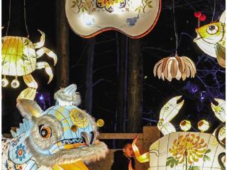 3月3日，万盏灯火“闹”元宵！