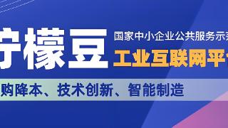 柠檬豆助力一人公司:数字化转型的新引擎