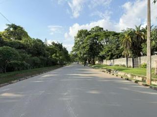 从河南到赞比亚 信任铺就的时间告白丨策马开局豫春风