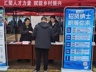 春风送岗稳就业 数智赋能强队伍