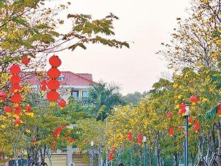 厦门今夜“雨打灯” 月全食恐怕难与市民见面