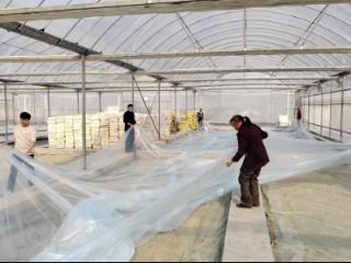 湖北竹溪：棚内育苗忙 田间希望生