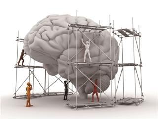 大脑喊救命时会发出三个警报