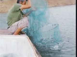 科技“净水”，塘头生金