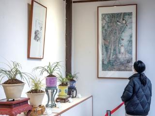 一边赏花一边赏画 去西湖名园郭庄看春兰顶流名品