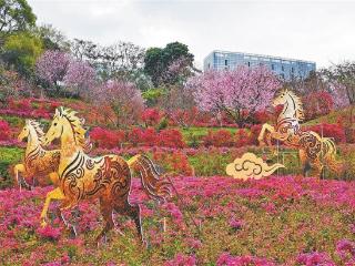 明天起厦门晴好天气归来 气温迅速攀升