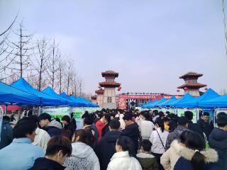 一边游玩 一边“淘”岗 这场招聘会玩起新花样