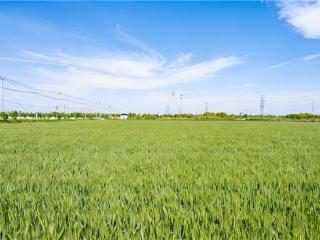 湖北大悟：邀你看“铁蜻蜓”如何“绣”出乡村振兴新画卷！