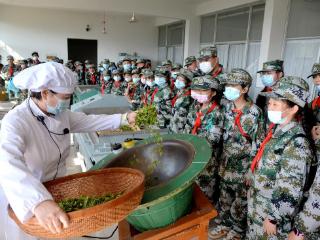 海州18名乡土人才跻身省级榜单 以才兴乡结硕果
