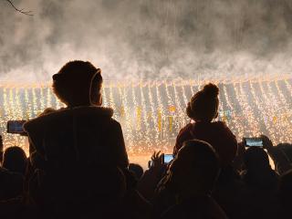 12万人次打卡！青岛市即墨区龙泉街道莲花田园乡村振兴片区点燃乡村文旅热潮
