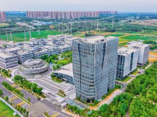 政策“撑腰”，企业“登高”！看这片热土如何与企业“双向奔赴”