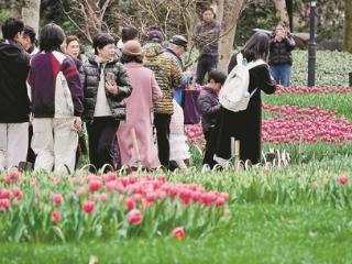 春到太子湾 打卡郁金香