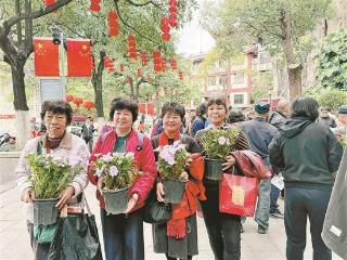 思明区：600盆展陈花卉免费领 美好春意送市民