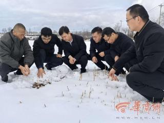 西北农林科技大学专家田间 “把脉” 春耕，科技赋能粮田增收