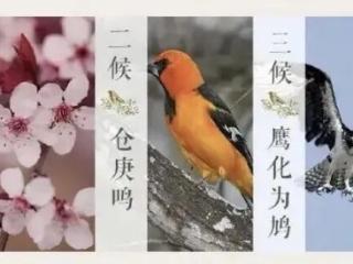 白天暖意融融，早晚比较寒冷！惊蛰时节河北各地气候一览→