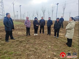 德州市陵城区丁庄镇：农技专家田间“把脉” 精准指导小麦春管