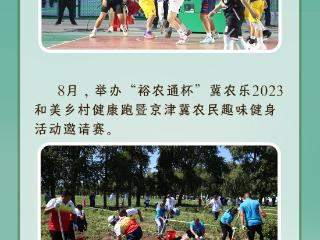 长图丨从扎根到绽放——冀农乐的成长纪事