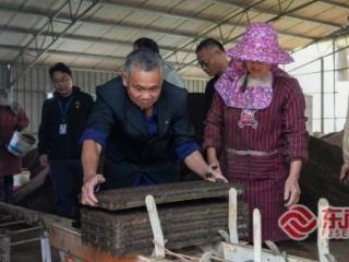 龙岩永定：3.25万亩早稻育秧高效推进