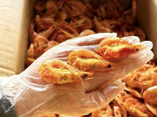 山海传情 鲁渝同心——潍坊滨海金辉社区跨区域联建书写协作佳话