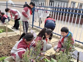 校园农场里 雷锋精神在泥土中生根