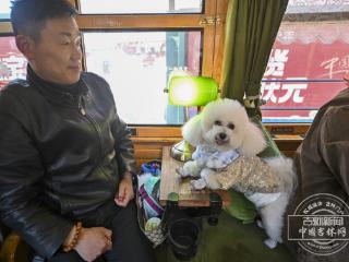 吉镜头｜长春54路文旅专列开启 “萌宠友好” 模式
