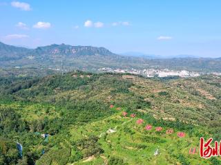 奋进的河北｜逐绿而行谱新篇