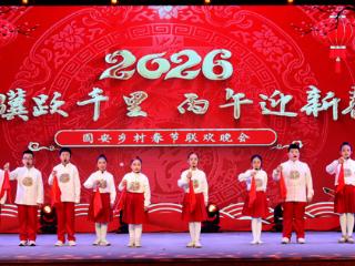 中国年·廊坊味｜固安2026年“两节”文化活动精彩落幕：欢歌笑语迎丙午 文化甘霖润万家