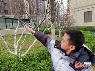 邯郸市复兴区第二实验小学开展“惊蛰至 万物醒”主题实践活动