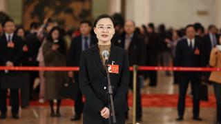 来自河北的她走上“代表通道”，讲了两个小故事