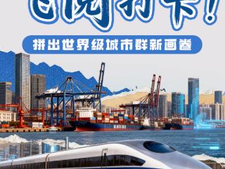 互动SVG｜飞“阅”打卡！拼出世界级城市群新画卷