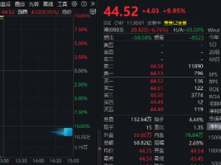 首次写入政府工作报告！金开新能，“7天4板”