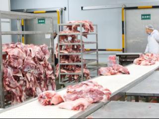 西秀区：多措并举确保学校食材供应，守护学生“舌尖安全”