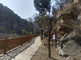 泰山景区玉泉寺管理区抢抓时令扩绿兴绿 推动旅游场景焕新