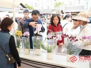 三明：多彩活动欢庆“三八”妇女节