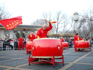 中国年·廊坊味｜逛庙会、猜灯谜、赏花会！固安元宵节系列活动点亮百姓幸福年